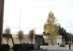 MARKET TRIO MAXI DELTA AGRAR u Raci Kragujevac